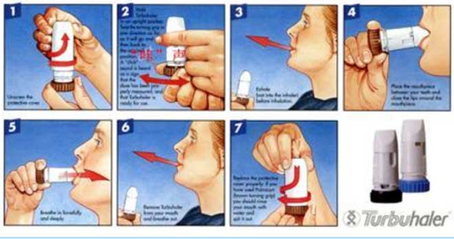 1646732376124972.jpg 未標題-17.jpg