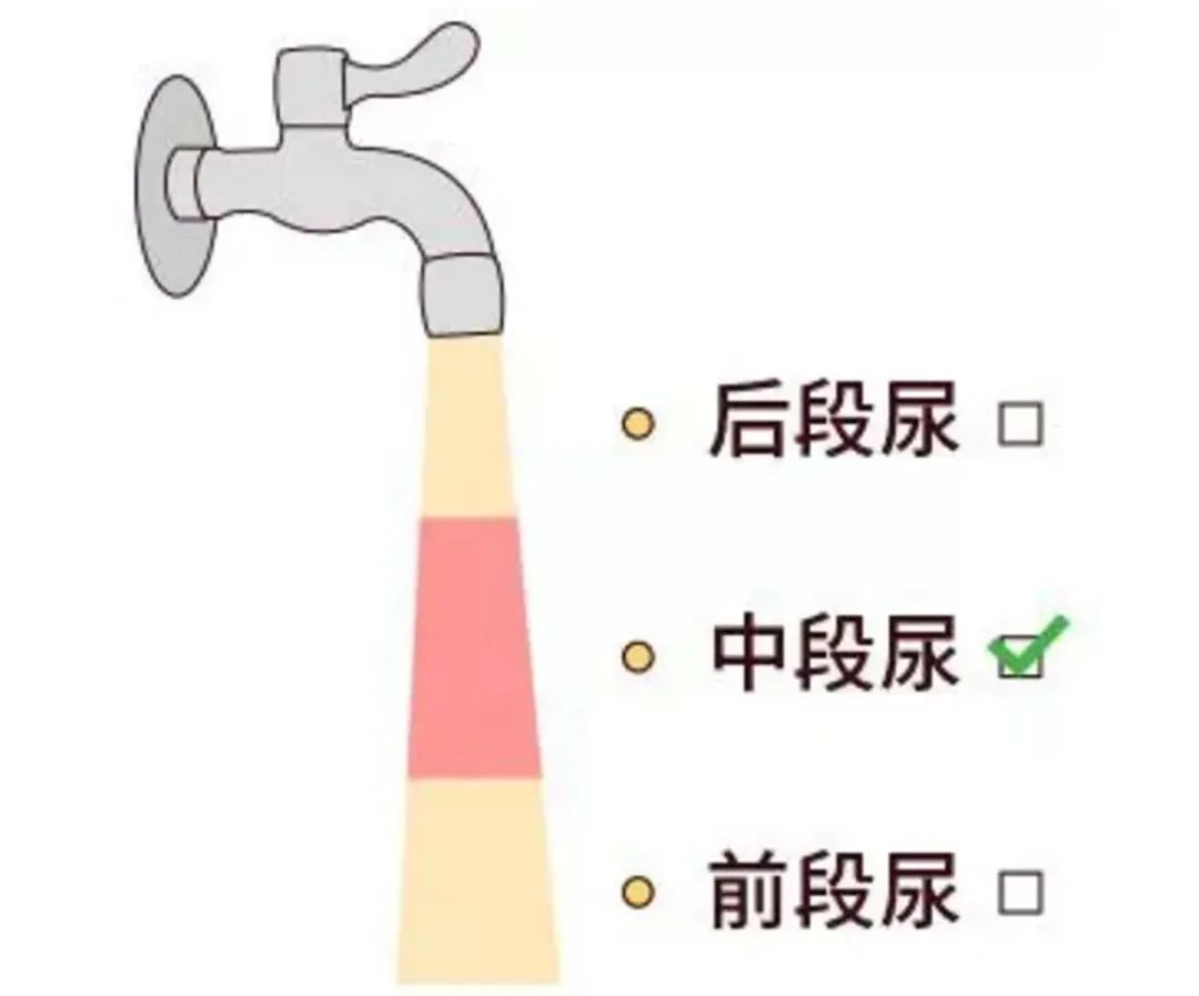 1656143769103687.jpg 1656143769103687.jpg