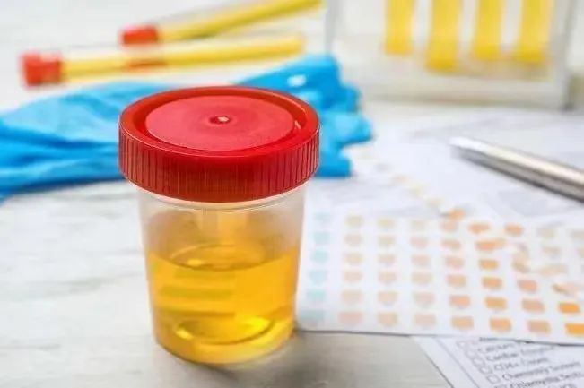 1656143823206782.jpg 1656143823206782.jpg