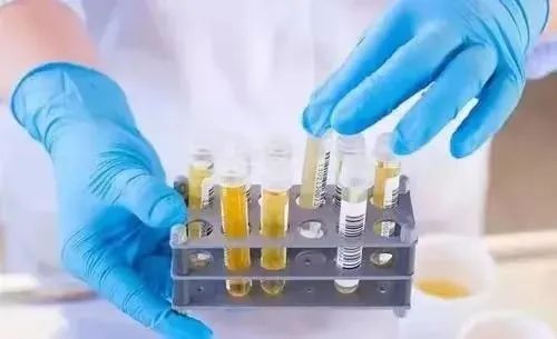 1656143877205732.jpg 1656143877205732.jpg