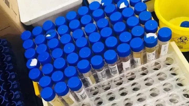 1656143914616258.jpg 1656143914616258.jpg