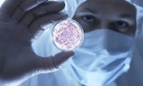 1659088793190417.jpg 640.jpg