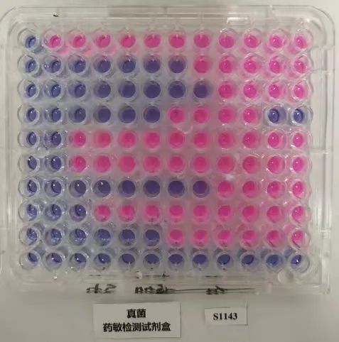 1659088919191089.jpg 640 (2).jpg