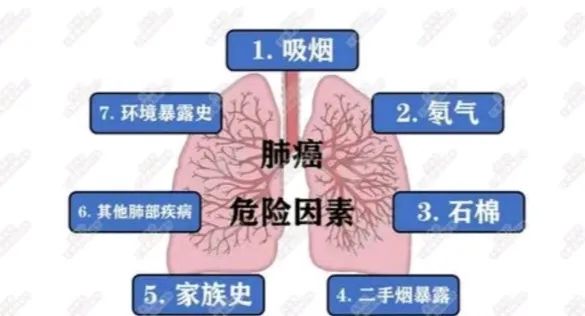 1680864891818711.jpg 640 (3).jpg