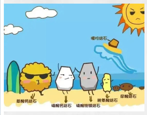 1685591465859120.jpg 3.jpg