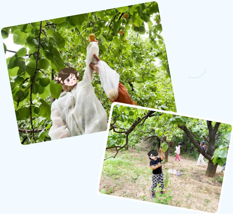 1717235278391866.jpg 未標題-5.jpg